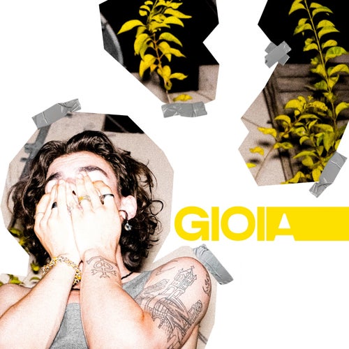 Gioia