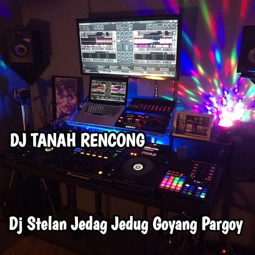 Dj Stelan Jedag Jedug Goyang Pargoy