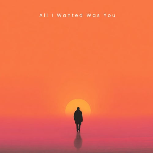 All I Wanted Was You