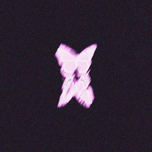 BUTTERFLY EFFECT
