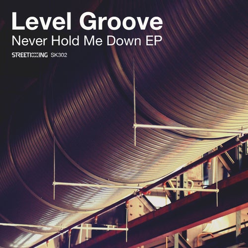 Never Hold Me Down EP