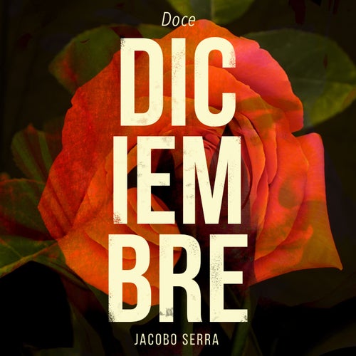 Diciembre - Doce