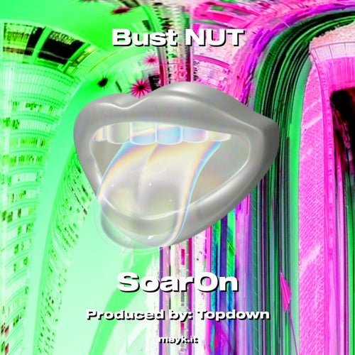 Bust NUT