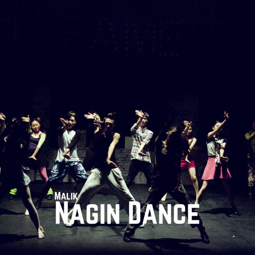 Nagin Dance