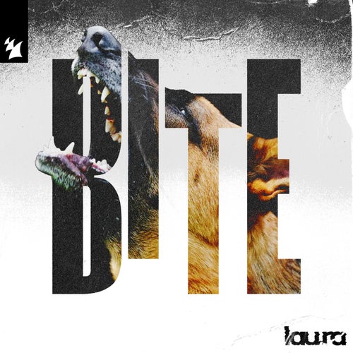 Bite