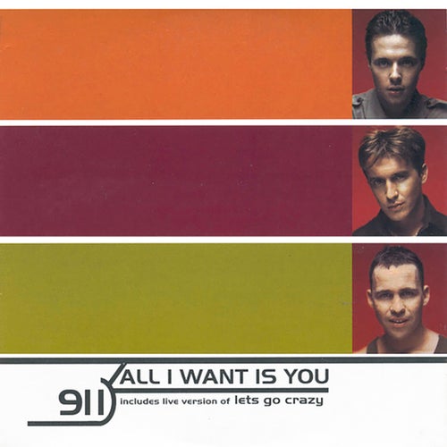 All I Want Is You