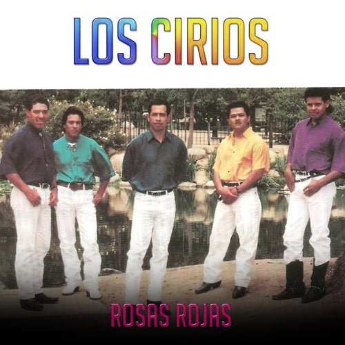 rosas Rojas