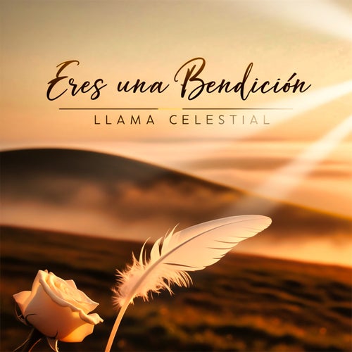 Eres Una Bendicion