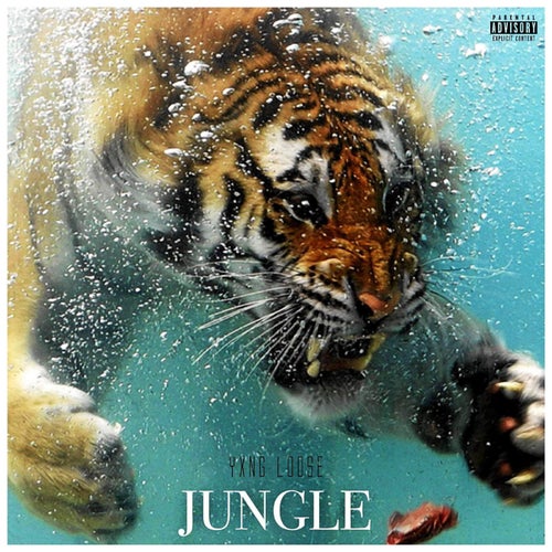 Jungle
