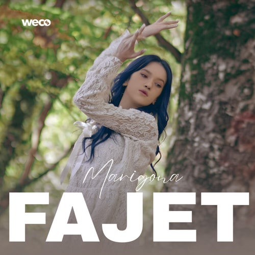 Fajet