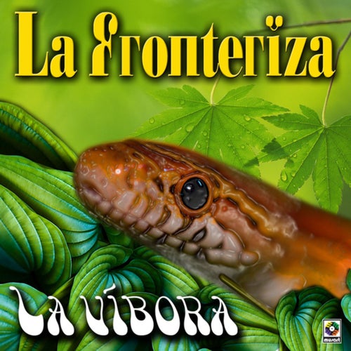 La Víbora