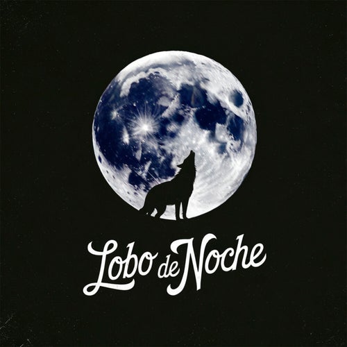 Lobo de noche