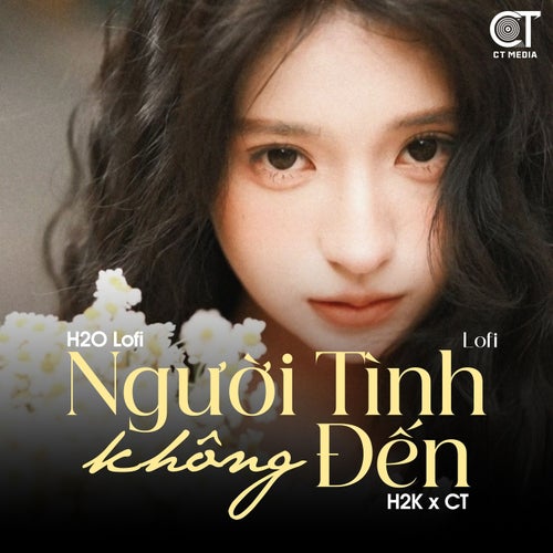 Người Tình Không Đến (Lofi)