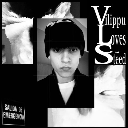 VILIPPULOVESSTEED