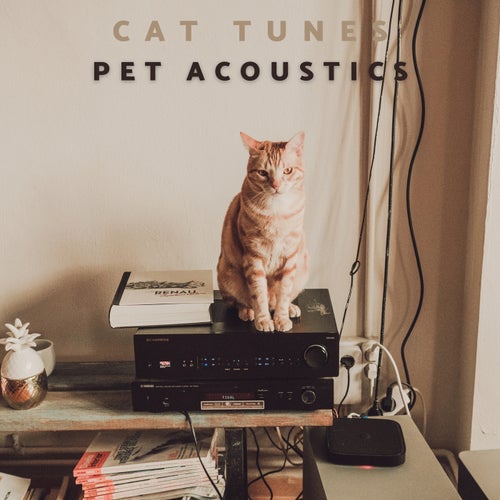 Cat Tunes