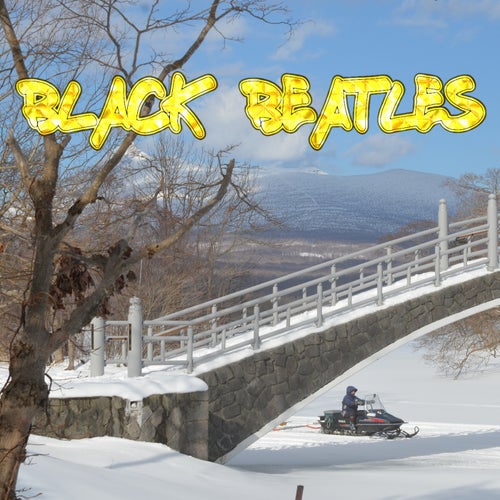 Black Beatles 