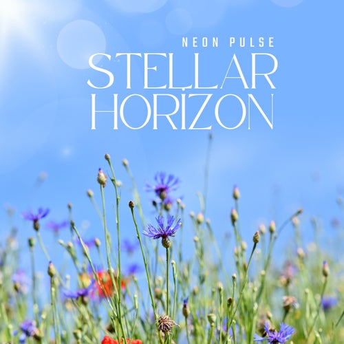 Stellar Horizon
