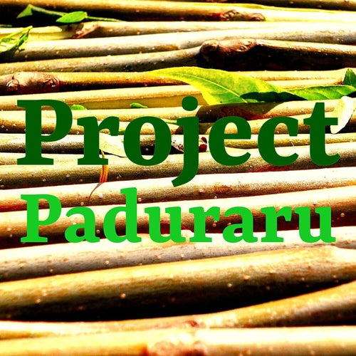 Project 