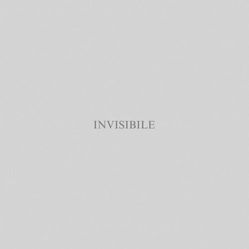 Invisibile
