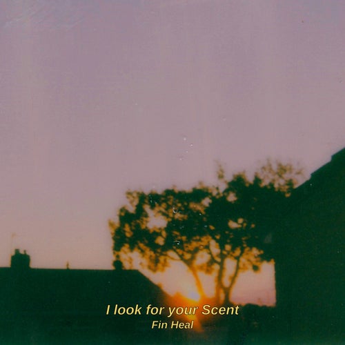 I look for your Scent