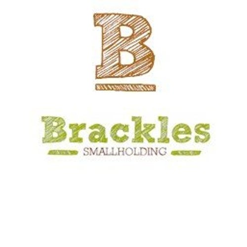 Brackles Profile