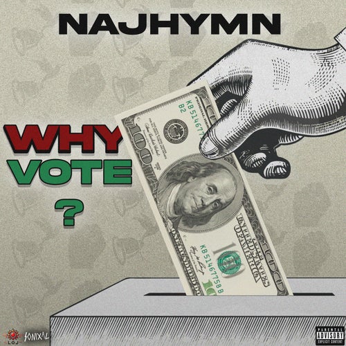 Why Vote?