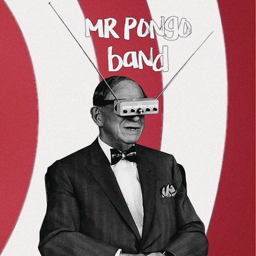 Mr Pongo Band