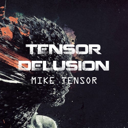 Tensor Delusion