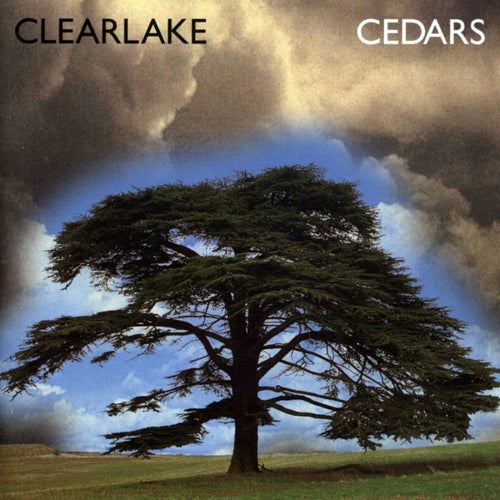 Cedars