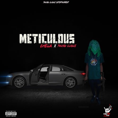Meticulous