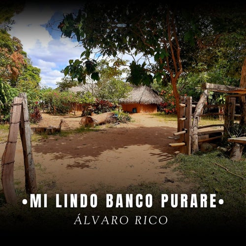 Mi Lindo Banco Purare