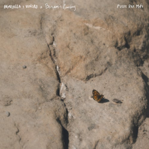Release of the week