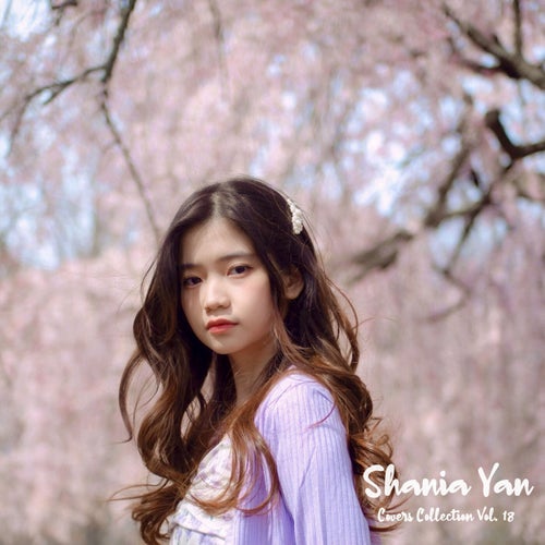 Covers Collection Vol. 18