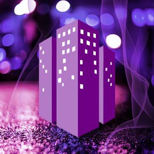 Purple City Profile