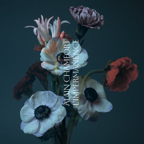 Tout s'arrange à la fin (Rework Edit)