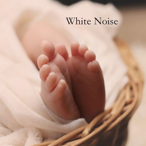 White Noise Profile