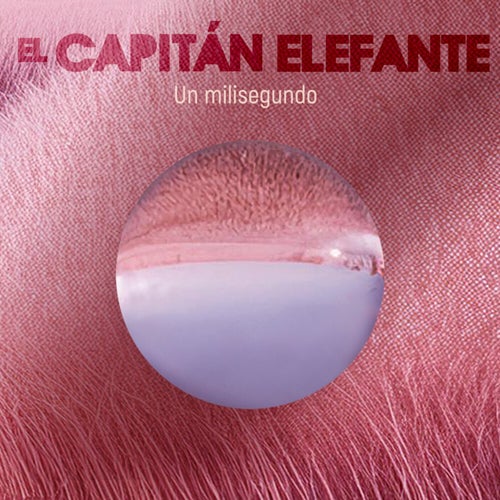 Un milisegundo