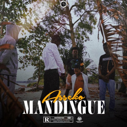 MANDINGUE (allô nilo)