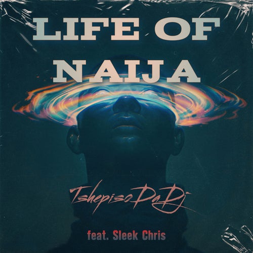 Life of Naija