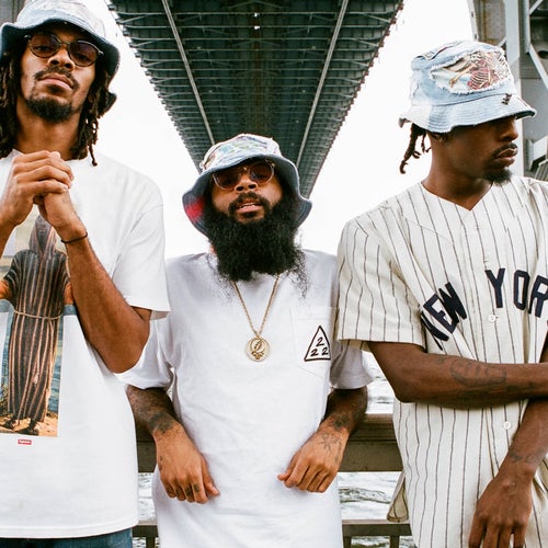 Flatbush Zombies Profile