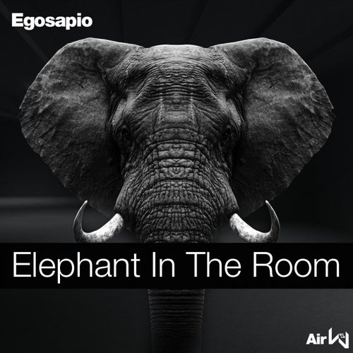 Elephant In The Room