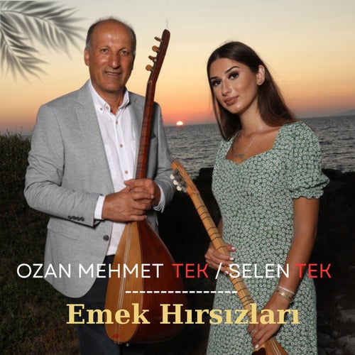 Emek Hırsızları