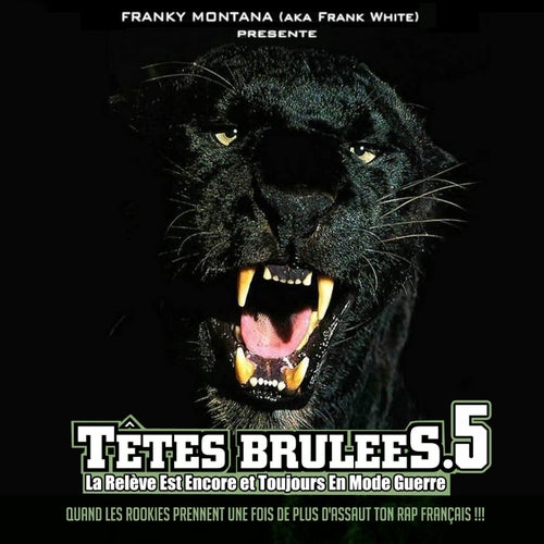 Tetes brulees, vol. 5 (By Franky Montana)