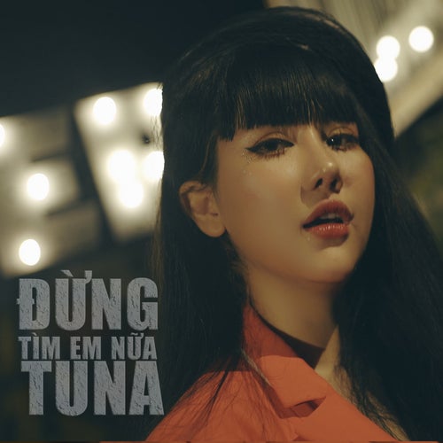 Đừng Tìm Em Nữa