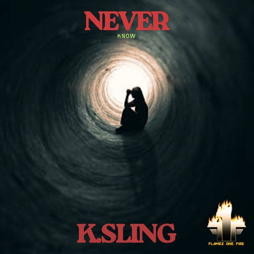 Never Know