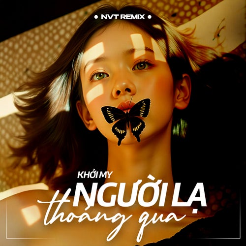 Người Lạ Thoáng Qua (NVT Remix)
