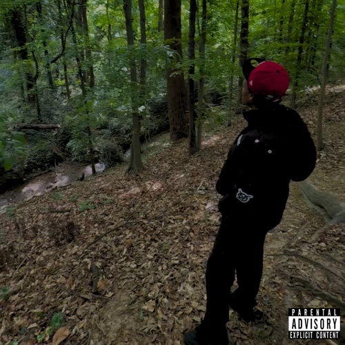 Release of the week