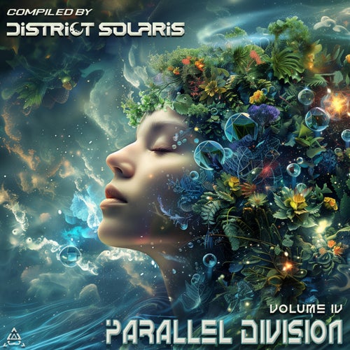 Parallel Division Vol.4