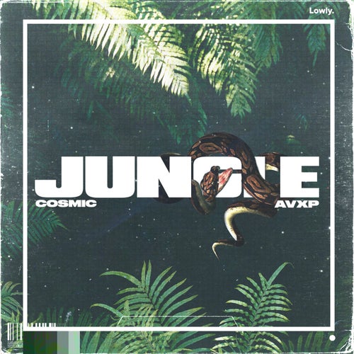 Jungle