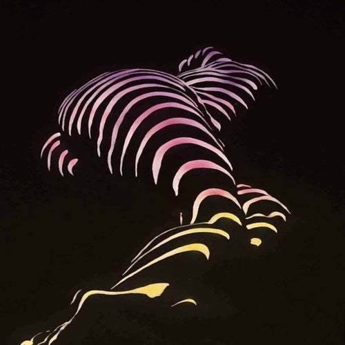 Eleven Nights